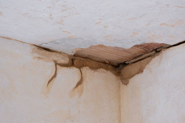Best Mold removal after water damage  in Vinita Park, MO